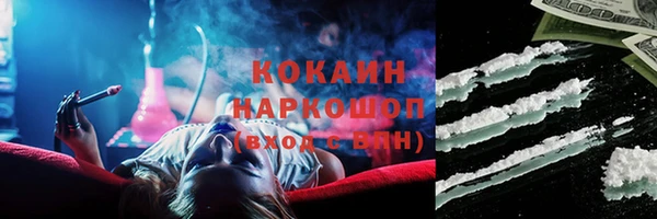 гашик Балахна