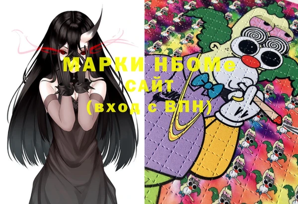 гашик Балахна