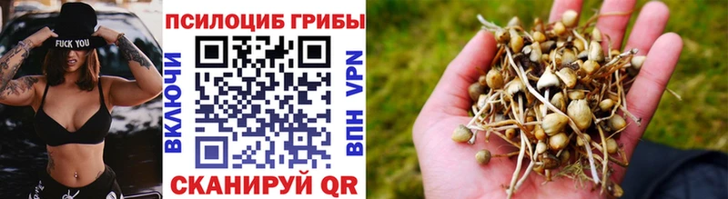 Псилоцибиновые грибы MAGIC MUSHROOMS  купить наркотики цена  Новодвинск 