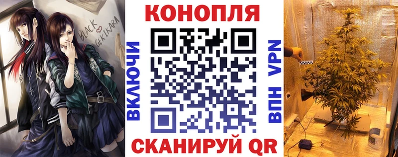 магазин продажи   Новодвинск  Шишки марихуана SATIVA & INDICA 